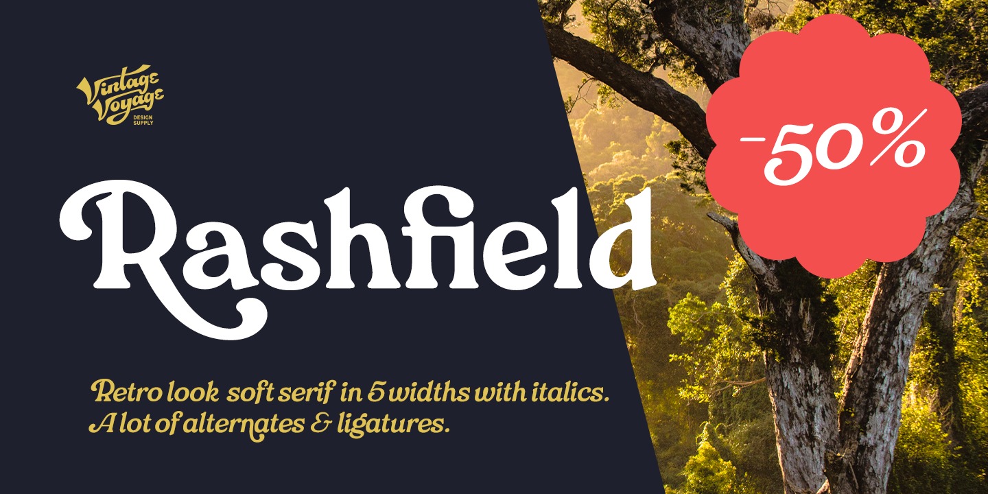 Пример шрифта VVDS Rashfield Bold Italic
